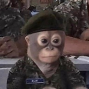 lilbobz avatar
