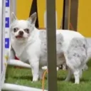 sinnrik