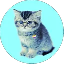 catastrophe_cat