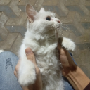 avatar 3antara³⁵🐙