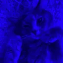 zuggy245 avatar
