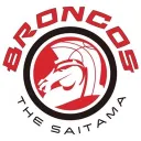 broncos_fanique