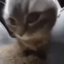 theonetruegamer avatar