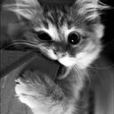 aby377