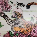 tigon