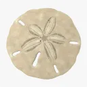 s4ar3. avatar