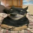 zamzukaa