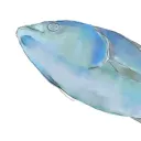 jack_1012630