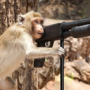 avatar Bernd Immo #Abruzzi