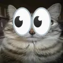 gatinho_. avatar