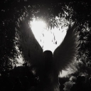 avatar *.˚˖° ฅ 𝓬𝓲𝓷𝓽𝓪 ฅ⋆˚˖°