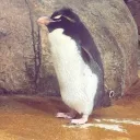 joseph.garcia. avatar