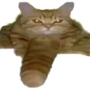 warkishere avatar