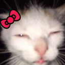 avatar Not Toxic ツ