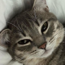 avatar ~ Mi bombo cat ~