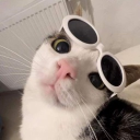 avatar ~ Mi bombo cat ~