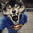 dershi.berdy