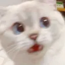 sppypss