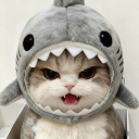 avatar Meowieee