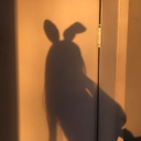 avatar .𝕄𝕚𝕤𝕤 𝔾𝕝𝕠𝕔𝕜&ℍ𝕖𝕖𝕝𝕤.