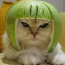 kilicosmail499's Avatar