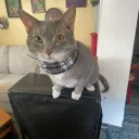 c0xw