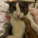 Soggies