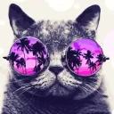 Аватар kotarya_ybiva