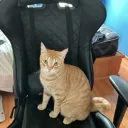 wuz1111