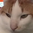 theyukyesp