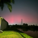 avatar holly jolly fish