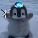 onlyy_pingu