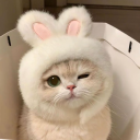 avatar ! 0˚ʚ Milena ɞ˚0!