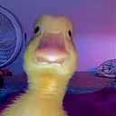 mini_yoongi