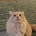 schlumpt.#4174's avatar