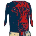 rumhoundog