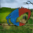 crabofcrabland