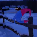 crabofcrabland