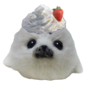 avatar ୨୧ ₊˚sook₊ ✦