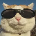 chillbro2117 avatar