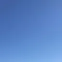 enzsg