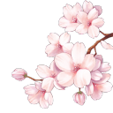 avatar 𝓚𝔂𝓻𝓪 💗