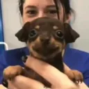 fuckingwenchik