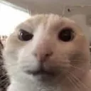 aidenkp11