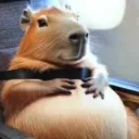 dipbobo