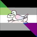 yinowo