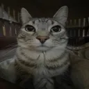 hyle8465 avatar