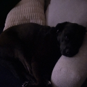 avatar Music_Lover96