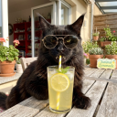 avatar !「ID.F」Agylity