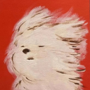 752496245344's Avatar